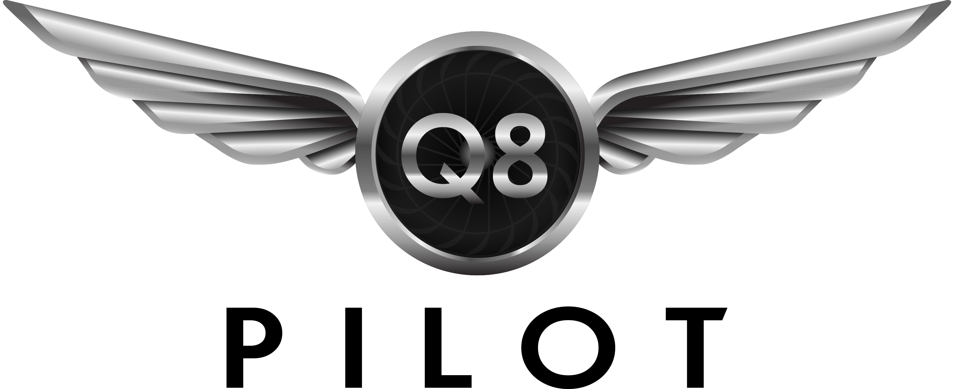 Q8Pilot Logo